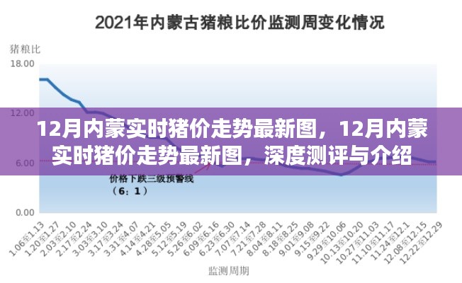 深度解讀，最新12月內蒙古實時豬價走勢圖及行情預測