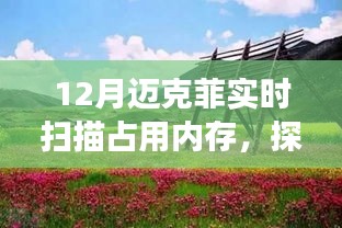邁克菲實時掃描與內(nèi)存占用，自然之旅尋找內(nèi)心平和之地