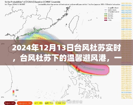 臺(tái)風(fēng)杜蘇下的夏日奇遇，友情避風(fēng)港實(shí)時(shí)報(bào)道 2024年12月13日
