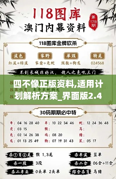 四不像正版資料,適用計(jì)劃解析方案_界面版2.462