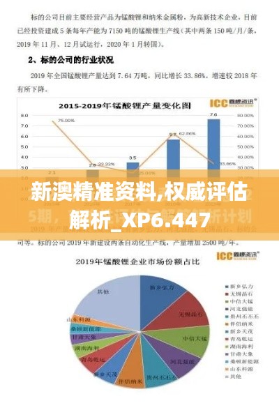 新澳精準資料,權(quán)威評估解析_XP6.447