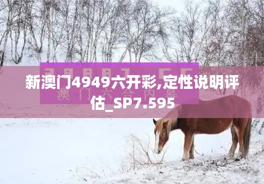 新澳門4949六開(kāi)彩,定性說(shuō)明評(píng)估_SP7.595