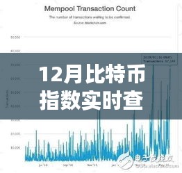 12月比特幣指數(shù)實(shí)時(shí)查詢，全面評(píng)測與詳細(xì)介紹