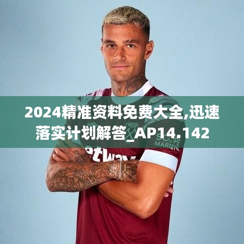2024精準資料免費大全,迅速落實計劃解答_AP14.142