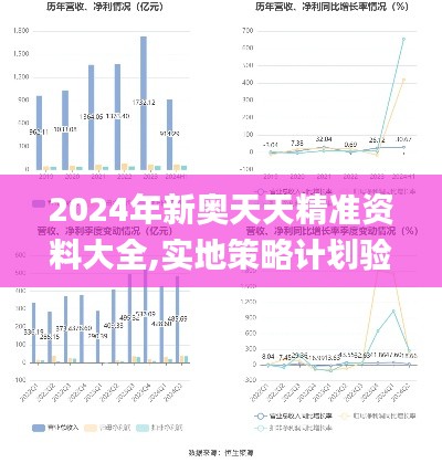 2024年新奧天天精準(zhǔn)資料大全,實地策略計劃驗證_soft9.419