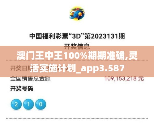 澳門王中王100%期期準(zhǔn)確,靈活實施計劃_app3.587
