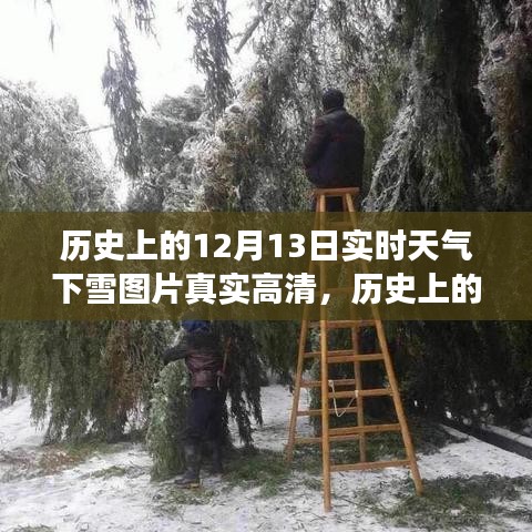 歷史上的12月13日實時下雪高清圖片，展現(xiàn)冬季雪景的迷人魅力