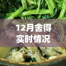 探秘巷弄深處的舍得驚喜，一家隱藏小巷中的特色小店揭秘的十二月故事