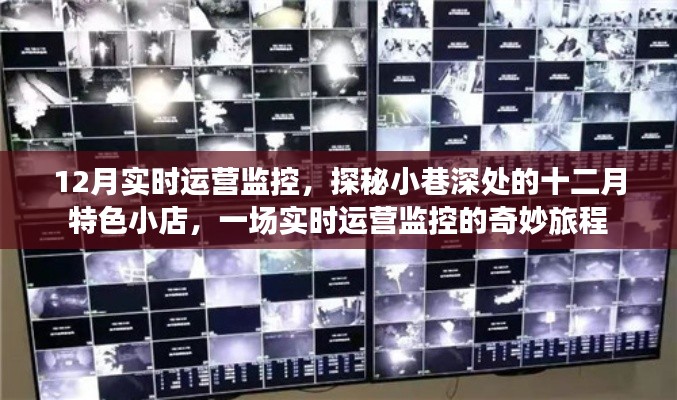 探秘小巷深處的十二月特色小店，實(shí)時(shí)運(yùn)營(yíng)監(jiān)控之旅