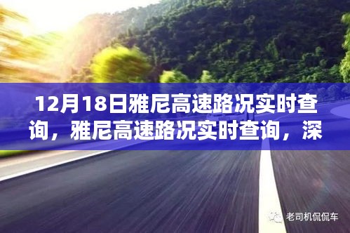 雅尼高速路況實(shí)時(shí)查詢深度解析與觀點(diǎn)闡述，最新路況信息，不容錯(cuò)過！