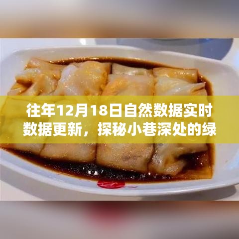 探秘綠色數(shù)據(jù)寶藏，特色小店與自然數(shù)據(jù)實(shí)時(shí)共舞，小巷深處的最新更新動(dòng)態(tài)