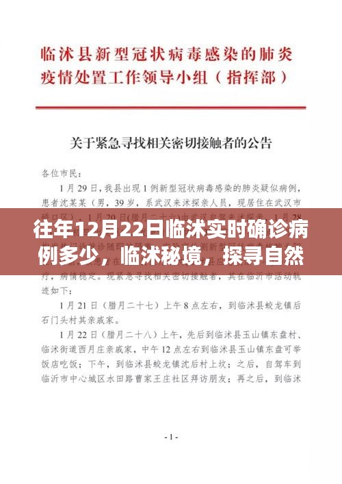 臨沭實(shí)時(shí)確診病例更新及秘境自然美景探尋之旅，重拾內(nèi)心的寧?kù)o與和諧