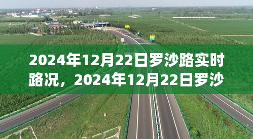 羅沙路實時路況導(dǎo)航指南，行車技巧從初學(xué)到進(jìn)階