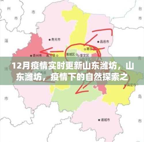山東濰坊疫情下的自然探索之旅，尋找內(nèi)心的寧靜與力量，實時更新疫情動態(tài)