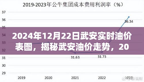 揭秘武安油價走勢，最新油價表圖與解析（2024年12月22日）