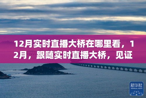 見證力量，12月實時直播大橋，自信成就之光展現(xiàn)變化力量