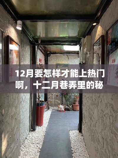 十二月巷弄探秘，特色小店點(diǎn)燃熱門探索之旅