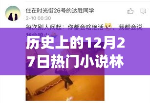 歷史上的12月27日，林天宇與寧麗霞的熱門小說之旅