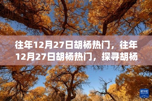 百不得一 第3頁
