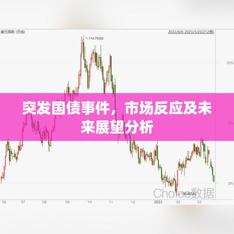 突發(fā)國債事件，市場反應(yīng)及未來展望分析