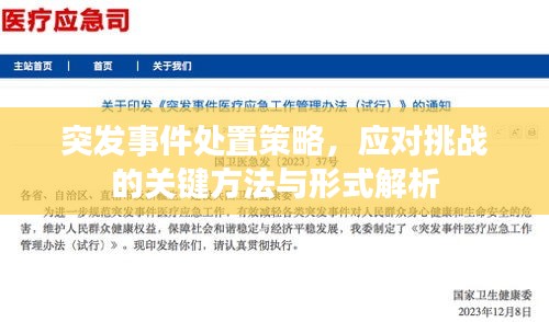 突發(fā)事件處置策略，應(yīng)對(duì)挑戰(zhàn)的關(guān)鍵方法與形式解析