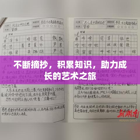 不斷摘抄，積累知識(shí)，助力成長(zhǎng)的藝術(shù)之旅