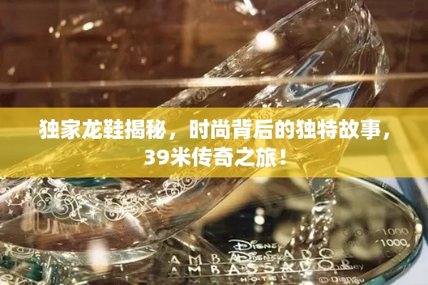 獨家龍鞋揭秘，時尚背后的獨特故事，39米傳奇之旅！