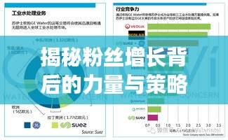 揭秘粉絲增長背后的力量與策略，揭秘背后的秘密！