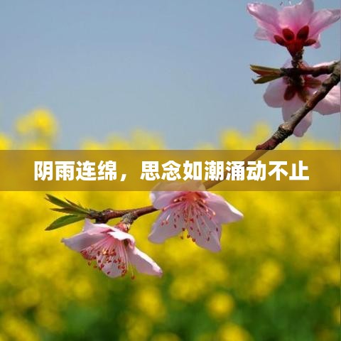 陰雨連綿，思念如潮涌動不止