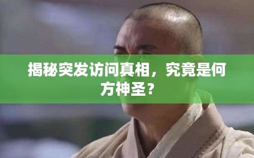 揭秘突發(fā)訪問真相，究竟是何方神圣？