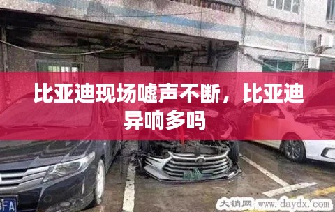 比亞迪現(xiàn)場噓聲不斷，比亞迪異響多嗎 