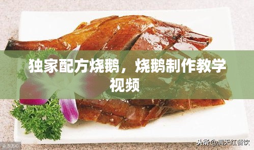 獨家配方燒鵝，燒鵝制作教學(xué)視頻 