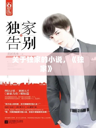關(guān)于獨(dú)家的小說，《獨(dú)家》 