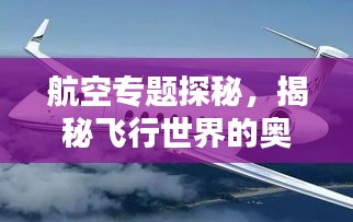 航空專題探秘，揭秘飛行世界的奧秘