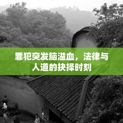 罪犯突發(fā)腦溢血，法律與人道的抉擇時刻