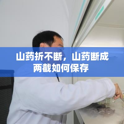 山藥折不斷，山藥斷成兩截如何保存 