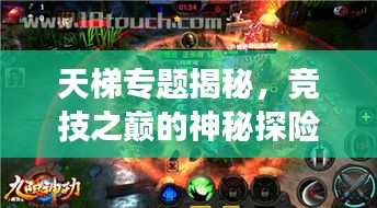 天梯專(zhuān)題揭秘，競(jìng)技之巔的神秘探險(xiǎn)之旅