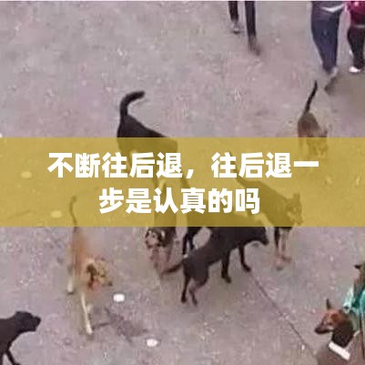 不斷往后退，往后退一步是認真的嗎 