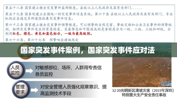 國家突發(fā)事件案例，國家突發(fā)事件應(yīng)對法 