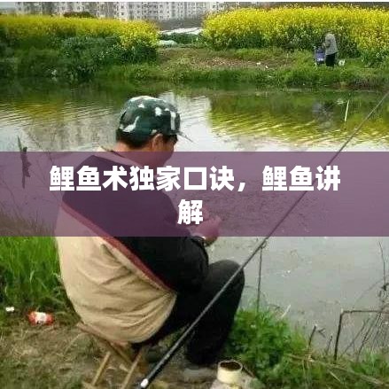 鯉魚術(shù)獨家口訣，鯉魚講解 