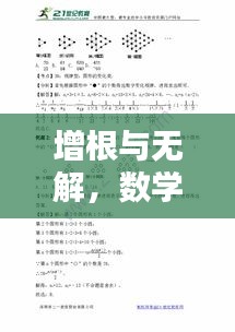 增根與無解，數(shù)學(xué)專題的深度探究