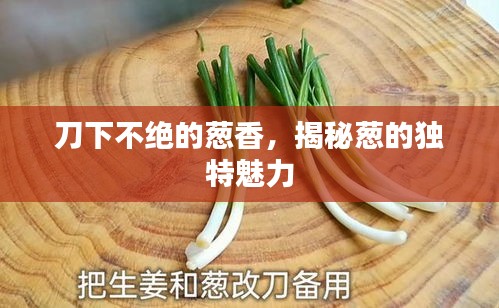 刀下不絕的蔥香，揭秘蔥的獨(dú)特魅力