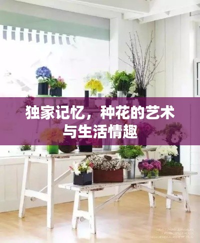 獨(dú)家記憶，種花的藝術(shù)與生活情趣