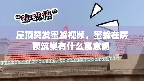 屋頂突發(fā)蜜蜂視頻，蜜蜂在房頂筑巢有什么寓意嗎 