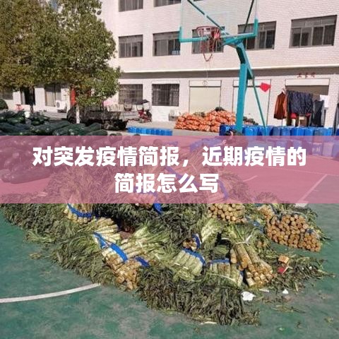 對突發(fā)疫情簡報(bào)，近期疫情的簡報(bào)怎么寫 