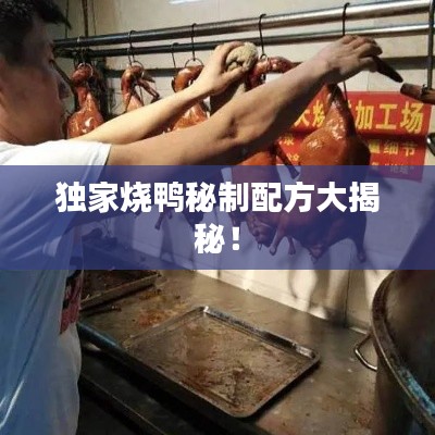 獨家燒鴨秘制配方大揭秘！