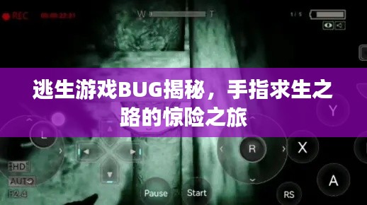 逃生游戲BUG揭秘，手指求生之路的驚險之旅