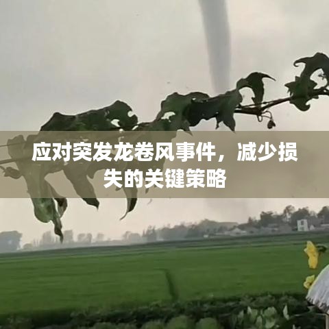 應(yīng)對突發(fā)龍卷風(fēng)事件，減少損失的關(guān)鍵策略