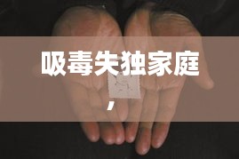 吸毒失獨(dú)家庭， 