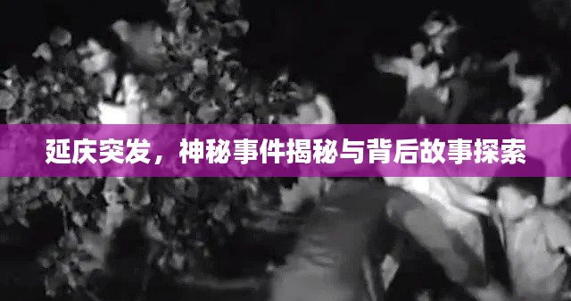 延慶突發(fā)，神秘事件揭秘與背后故事探索